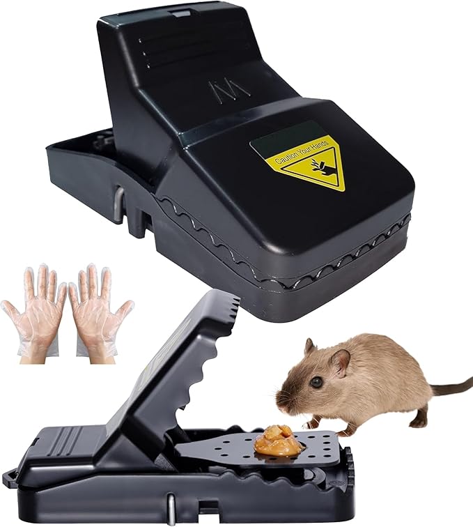 17597