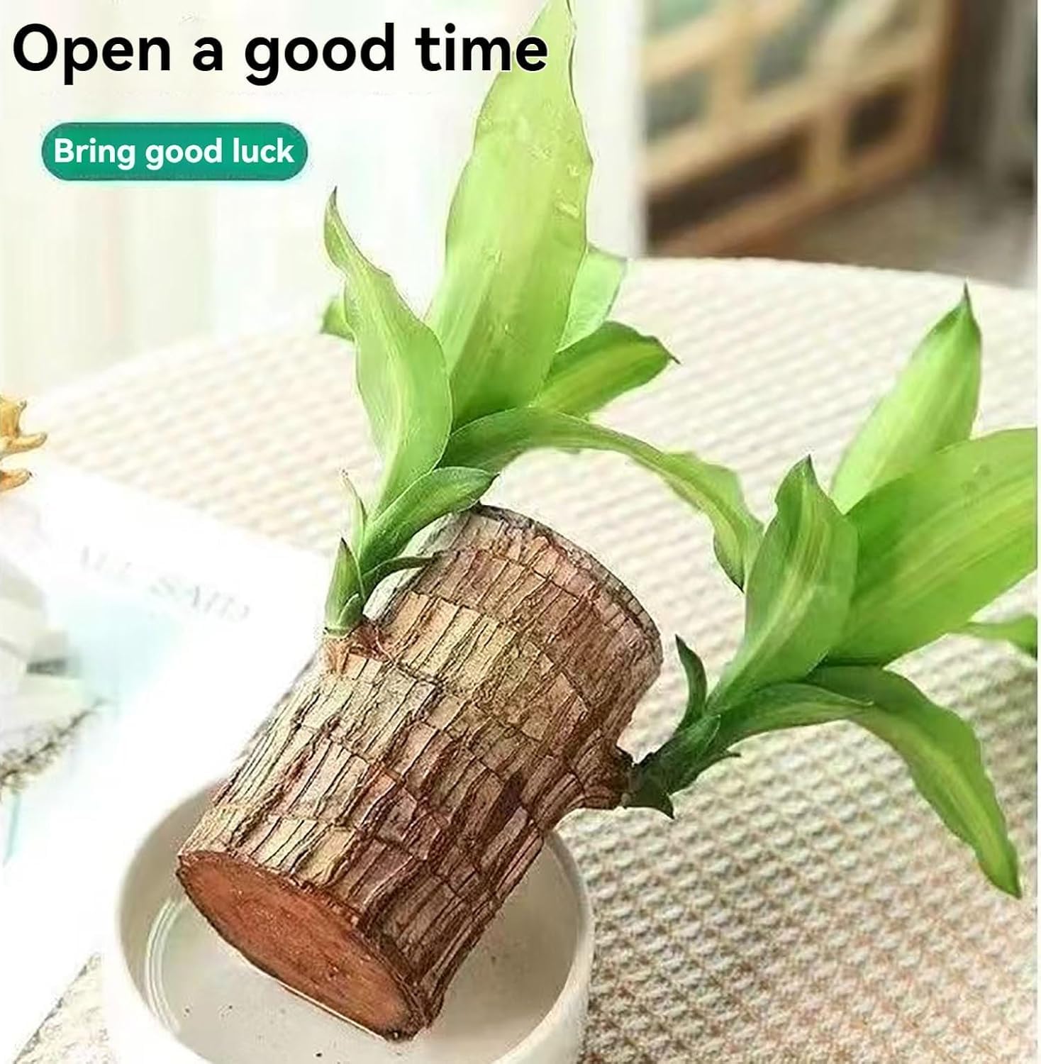 5234
